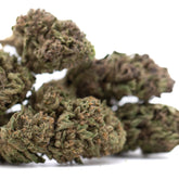 Dried blueberry muffin full-term thca flower wholesale with dense textured buds in green brown and orange shades