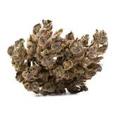Blues CBD Hemp Flower - Plants