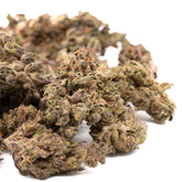 Blues CBD Hemp Flower - Plants