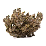 Blues Hemp Flower Smalls - Plants