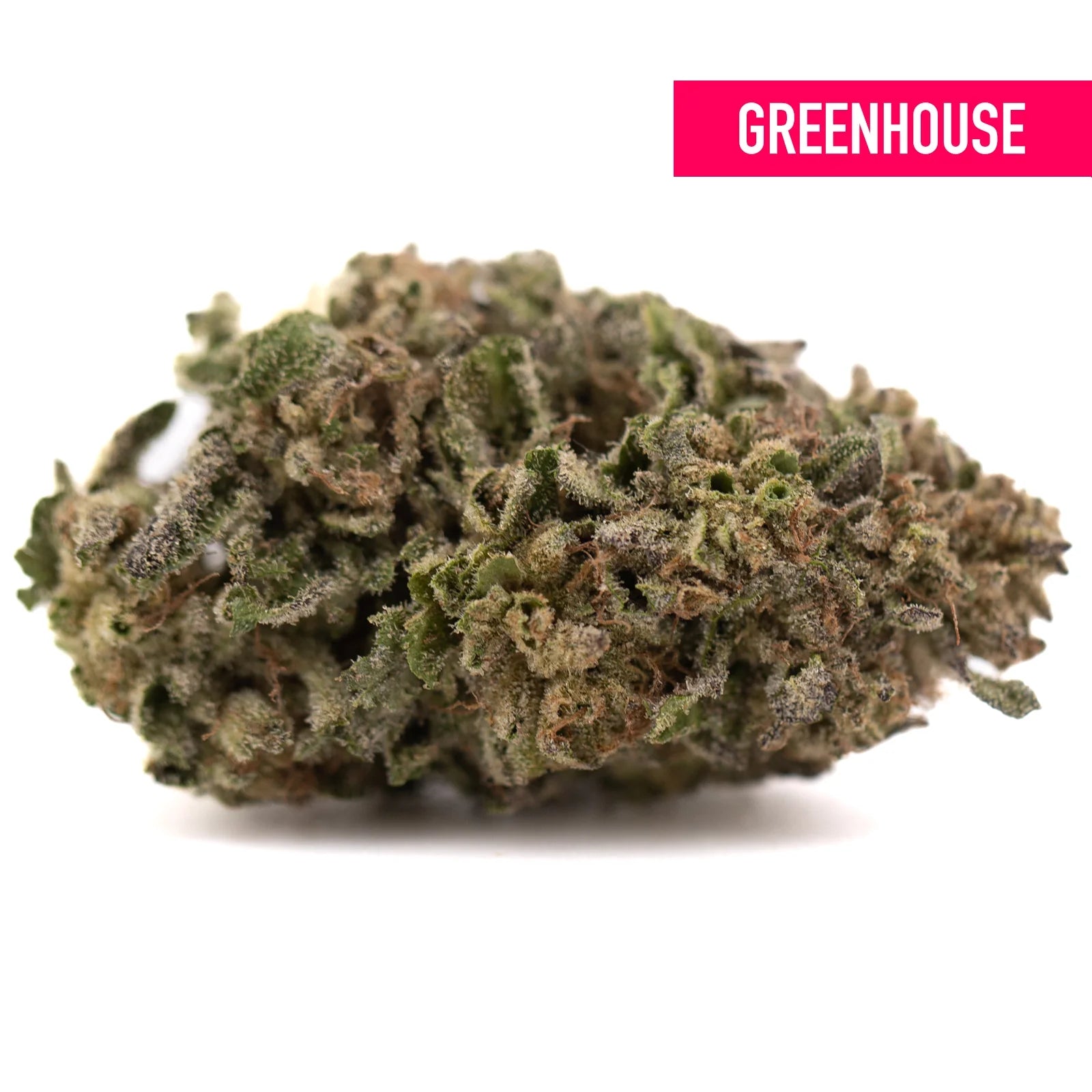 A dense bolor tartz greenhouse thca hemp flower bud with green and brown hues covered in fine trichomes