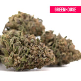 Bolor tartz thca hemp flower from greenhouse wholesale with dense green and brown hues featuring award-winning genetics zkittlez x gelato