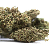 Dried bubba kush full-term hemp flower with dense trichomes and greenish-brown hues afghani indica bud