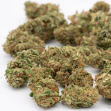 Dried Bubble Gum CBD Hemp Flower Full-Term with green and orange hues for CBD hemp flower enthusiasts