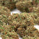 Bubble gum cbd hemp flower full-term smalls with green and orange frosty buds highlighting terpene profile and cbd smalls