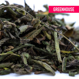 A pile of dried green thca trim leaves with dark and light shades featuring some stems for cali burger triple-cross genetics
