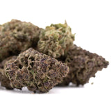 Cali Burger THCa hemp flower bud with purple green hues dense trichomes