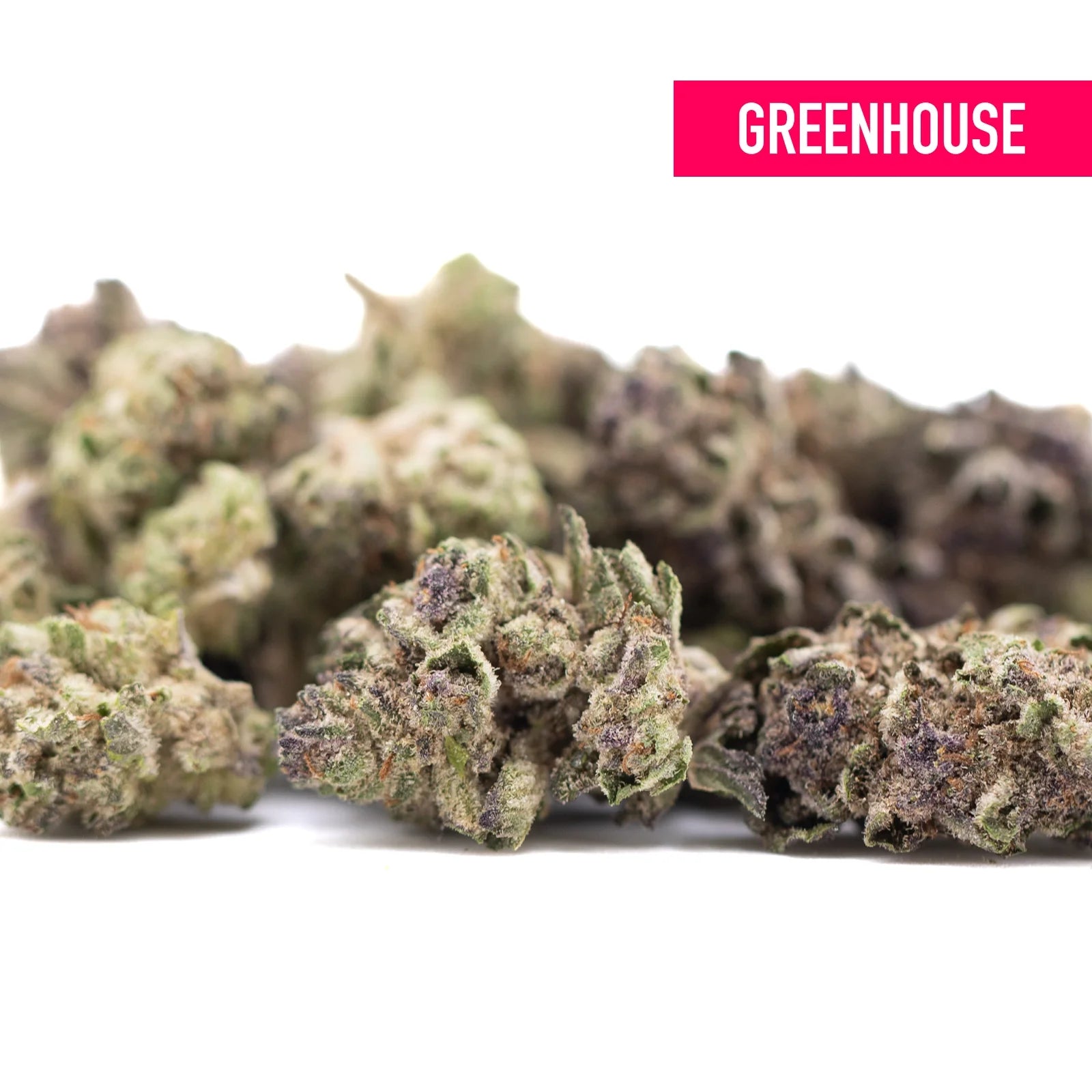 Cali burger thca hemp flower greenhouse smalls wholesale with dense frosty buds in green purple and brown hues rich in tropical citrus and california heritage