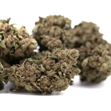 Dried cannabis buds of canal street runtz thc bomb with dense textured green and brown surface and pungent gassy aroma