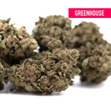 Canal street runtz thc bomb hemp flower with dense green and brown buds featuring pungent gassy aroma by greenhouse wholesale