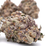 Candy Mac Indoor THCa Flower - Plants