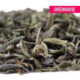 Dried sage leaves with dusty green hue and curled edges in a pile for candy pave’s greenhouse thca trim wholesale