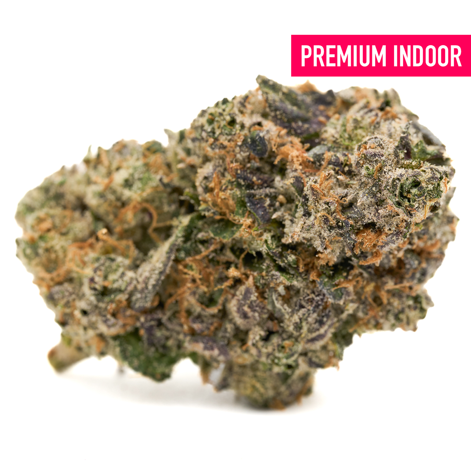 Vibrant cannabis bud with orange hairs and purple hues from Candy Rain Indoor THCa Flower