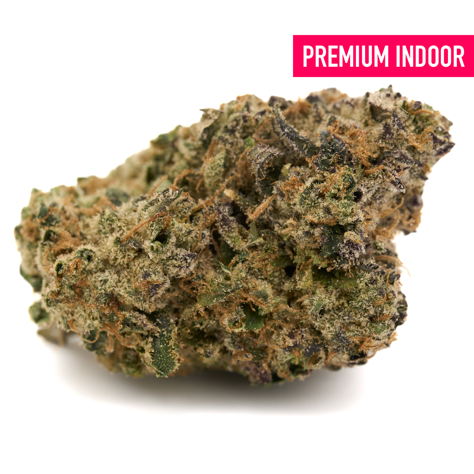 Dense Cherry Limeade Indoor THCa Flower with trichomes and purple orange hairs