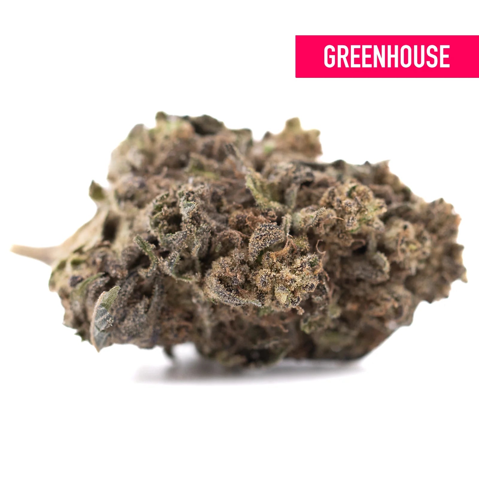 A dense cherry truffle greenhouse thca hemp flower bud with green brown hues and a rich terpene profile