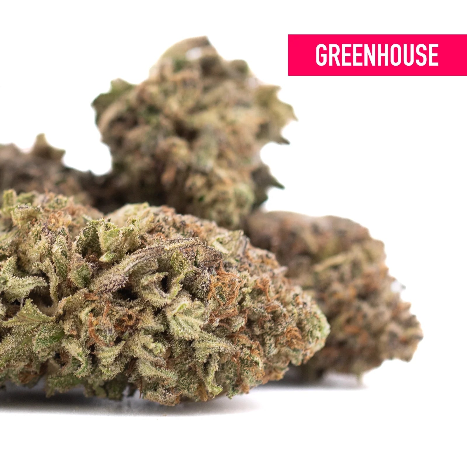 Greenhouse cherry truffle thca hemp flower with dense green and brown buds featuring chemdog special reserve and cherry lime notes