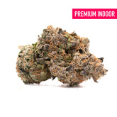 Cherry Vanilla Cookie Indoor THCa Flower - Plants