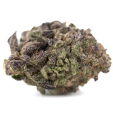 Dense textured chicken and waffles thca hemp flower with green and purplish hues covered in fine trichomes greenhouse hemp flower