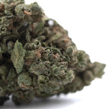 A dense green cola full-term thca hemp flower with fine trichomes brown pistils and rich terpene profile
