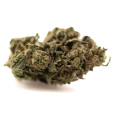 A dense green full-term thca flower cannabis bud covered in trichomes showcasing its terpene profile god bud quality