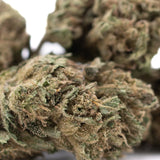 A dense cola full-term thca cannabis bud with green and brown hues covered in fine trichomes for god bud use