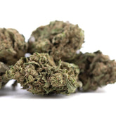 Dried cola full-term thca cannabis buds with dense textured appearance in shades of green and brown for wholesale use