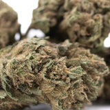 Cola THCa Flower Full-Term Wholesale