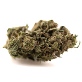 Cola THCa Flower Full-Term