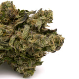 Cookies And Cream THCa Hemp Flower Greenhouse - Plants