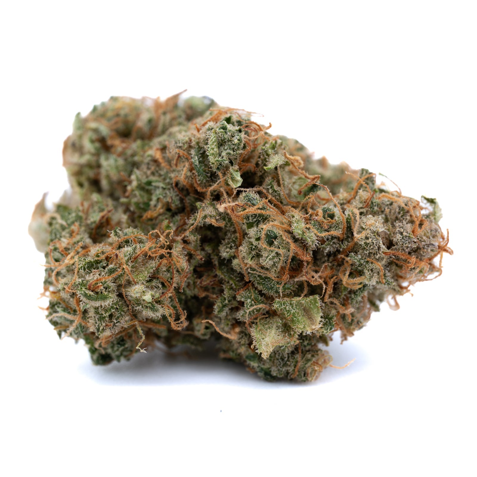 Cream Cookies THCa Hemp Flower - Plants