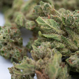 Cream Cookies THCa Hemp Flower Smalls - Plants