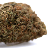 A dense textured critical berries cbd full-term hemp flower bud with green and brown hues and a terpene profile like bubba kush