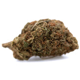 A dense green and brown critical berries cbd full-term hemp flower bud covered in fine trichomes with terpene profile hints of bubba kush