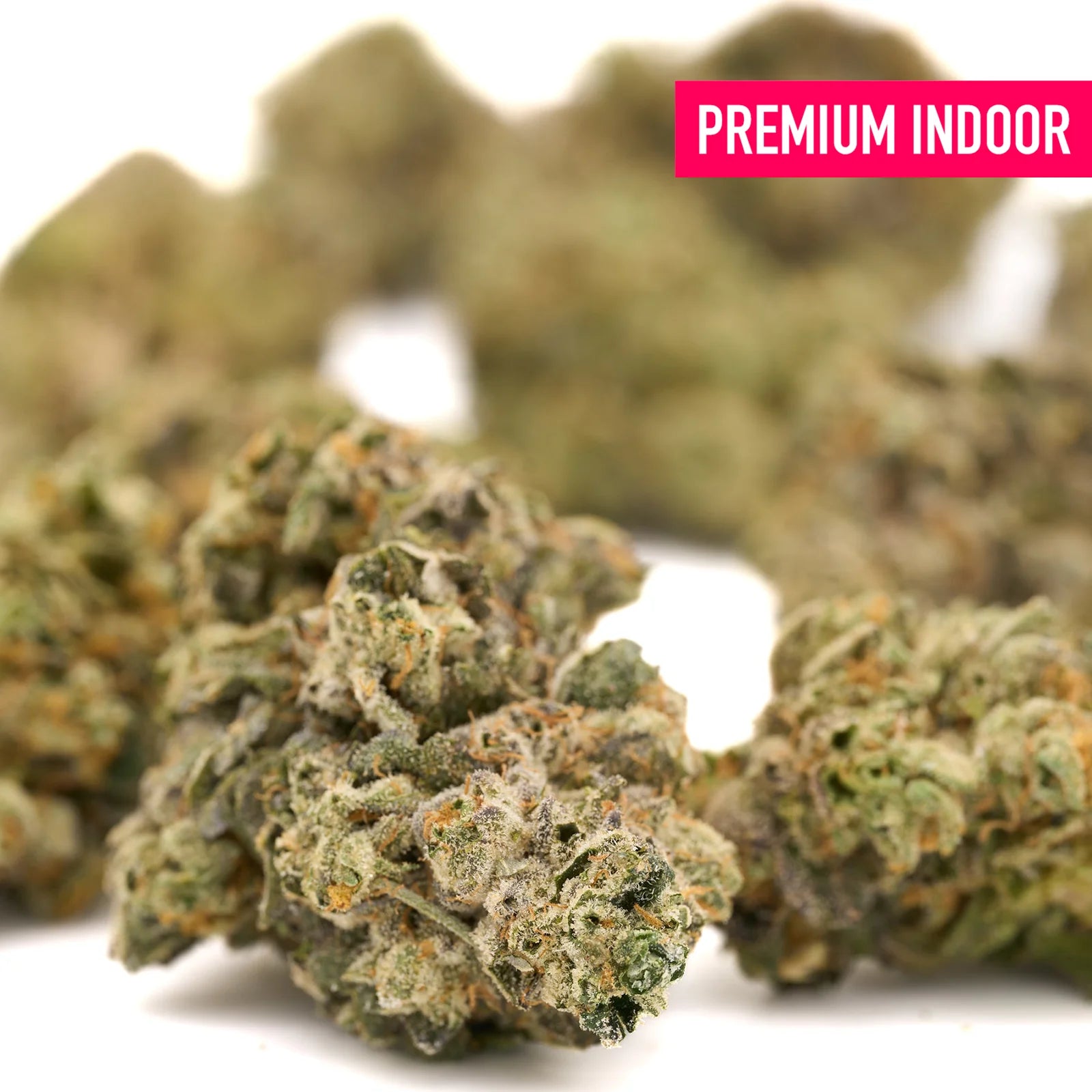 Premium indoor thca flower buds with dense greenish brown resinous trichomes and orange pistils from dat flavor hemp flower grown in living soil