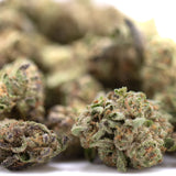 Dea-4 thca greenhouse smalls wholesale with frosty green and purple cannabis buds featuring northern lights hemp flower details