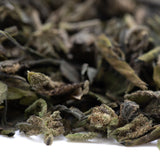 Dried green tea leaves with curled edges and fine hairs in deep space greenhouse THCa trim romulan x deep for sedative effects