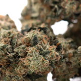 Dense resinous dirty laundry full-term thca flower bud with green orange hues and white trichomes from indoor cultivation