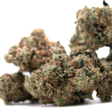 Mature dirty laundry full-term thca flower buds with dense frosty trichomes and green brown orange hues from indoor cultivation