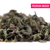 Dosi Mango THCa Trim Wholesale 1LB