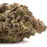 Dough Boy’s THCa hemp flower bud with green, purple hues and trichomes