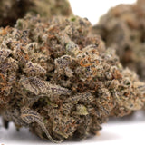 Dough Boy Kush Breath THCa hemp flower bud with dense trichomes