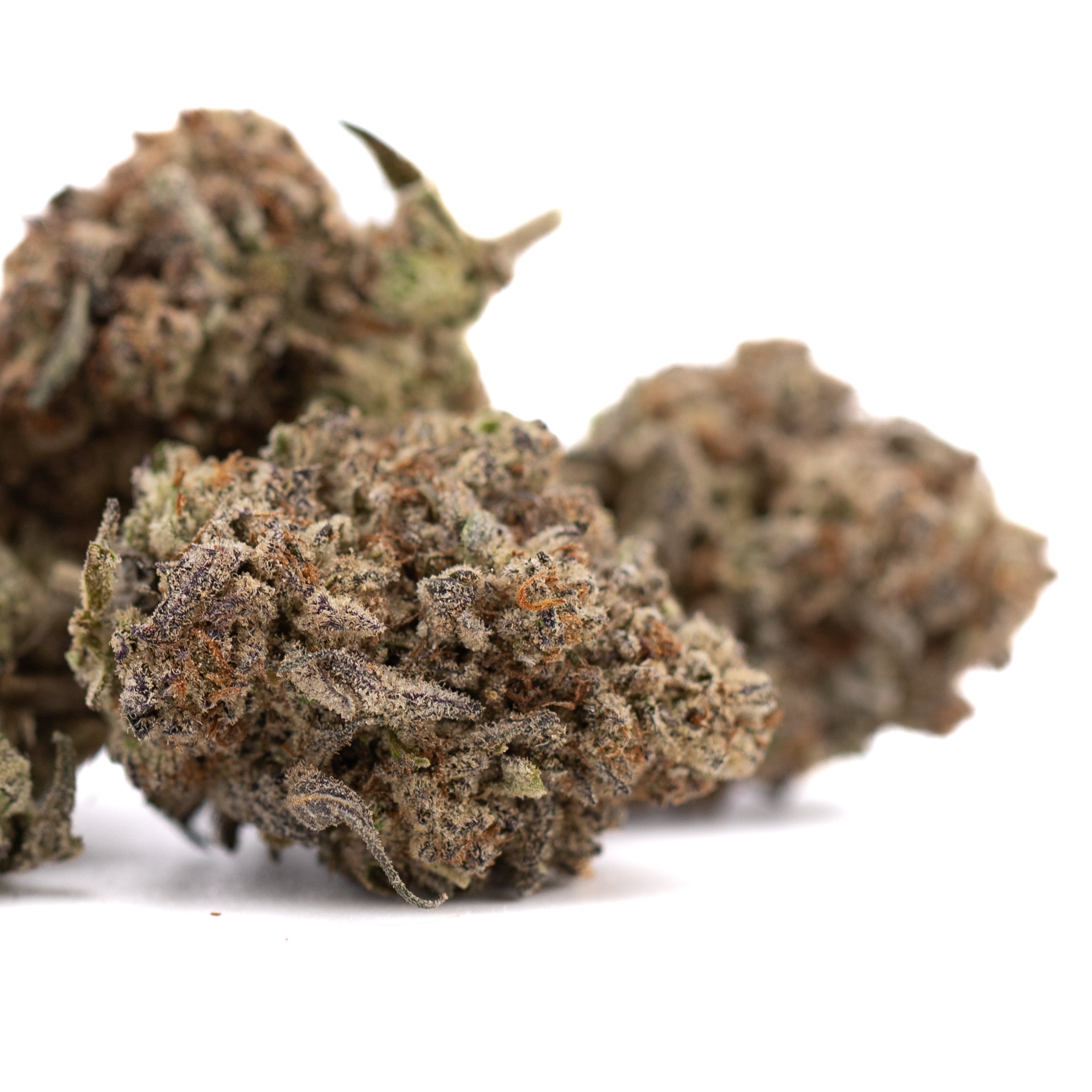 Premium Dough Boy Kush Breath THCa hemp flower bud with dense trichomes