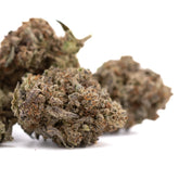 Premium Dough Boy Kush Breath THCa hemp flower bud with dense trichomes