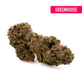 Dream Queen THCa Hemp Flower Greenhouse - Plants