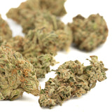 Duct Tape THCa Hemp Flower Greenhouse - Plants