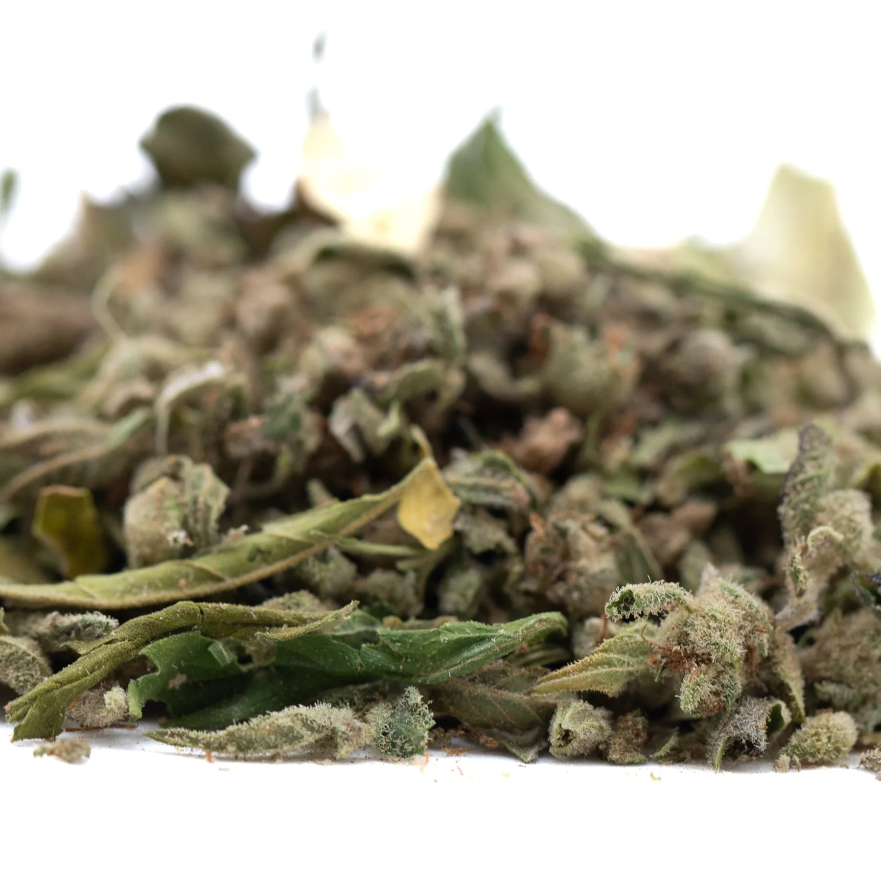 A pile of dried durban poison pure sativa thca trim buds with green brown hues and frosty white trichomes