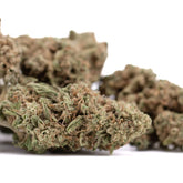 Premium Durban Poison THCa flower bud with dense trichomes