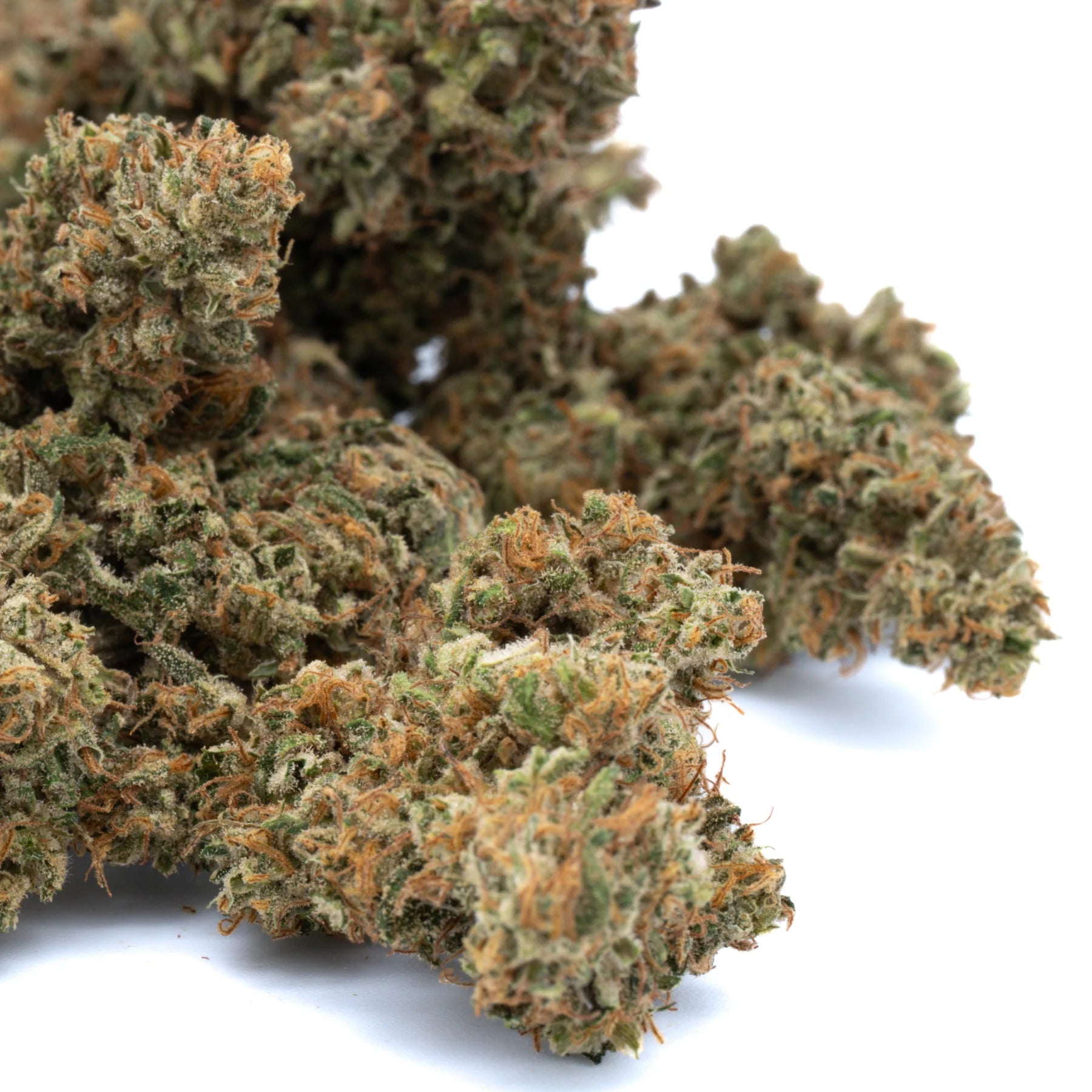 Early blossom cbd hemp flower showcasing green and orange buds with dense frosty texture and cannabidiol potency