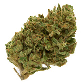 Dried Early Cherry CBD Hemp Flower Full-Term with green leaves and orange hairs