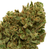 Vibrant green Early Cherry CBD Hemp Flower Full-Term with trichomes and orange pistils